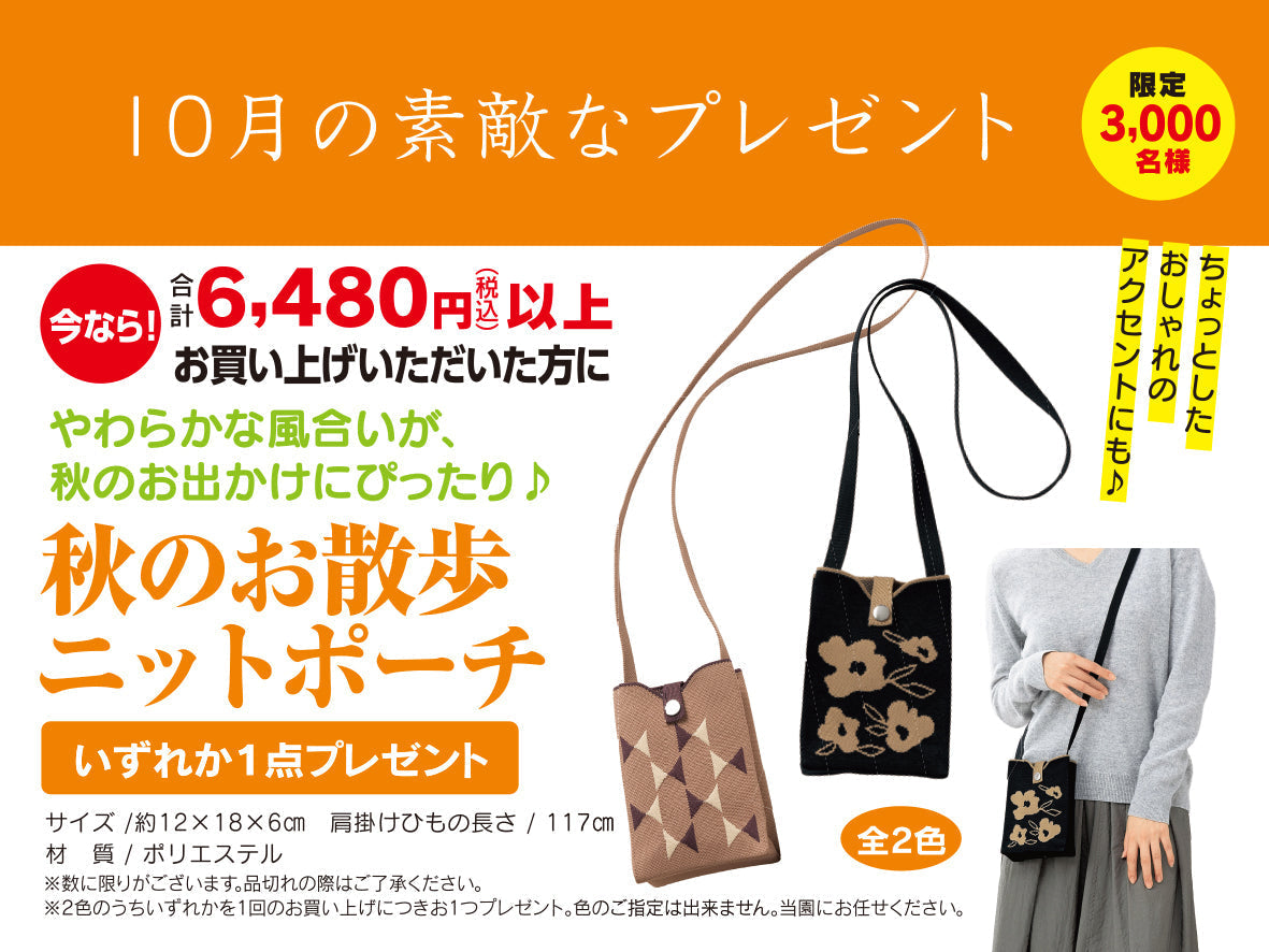 10月のお楽しみプレゼント 秋のお散歩ニットポーチ