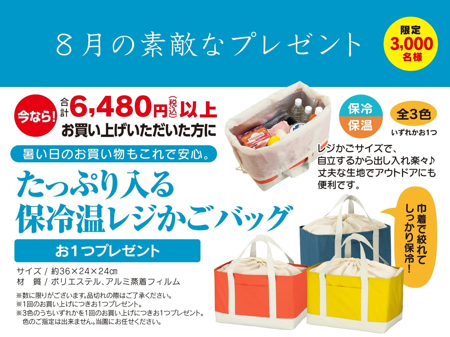 8月のお楽しみプレゼント　たっぷり入る保冷温レジカゴバッグ