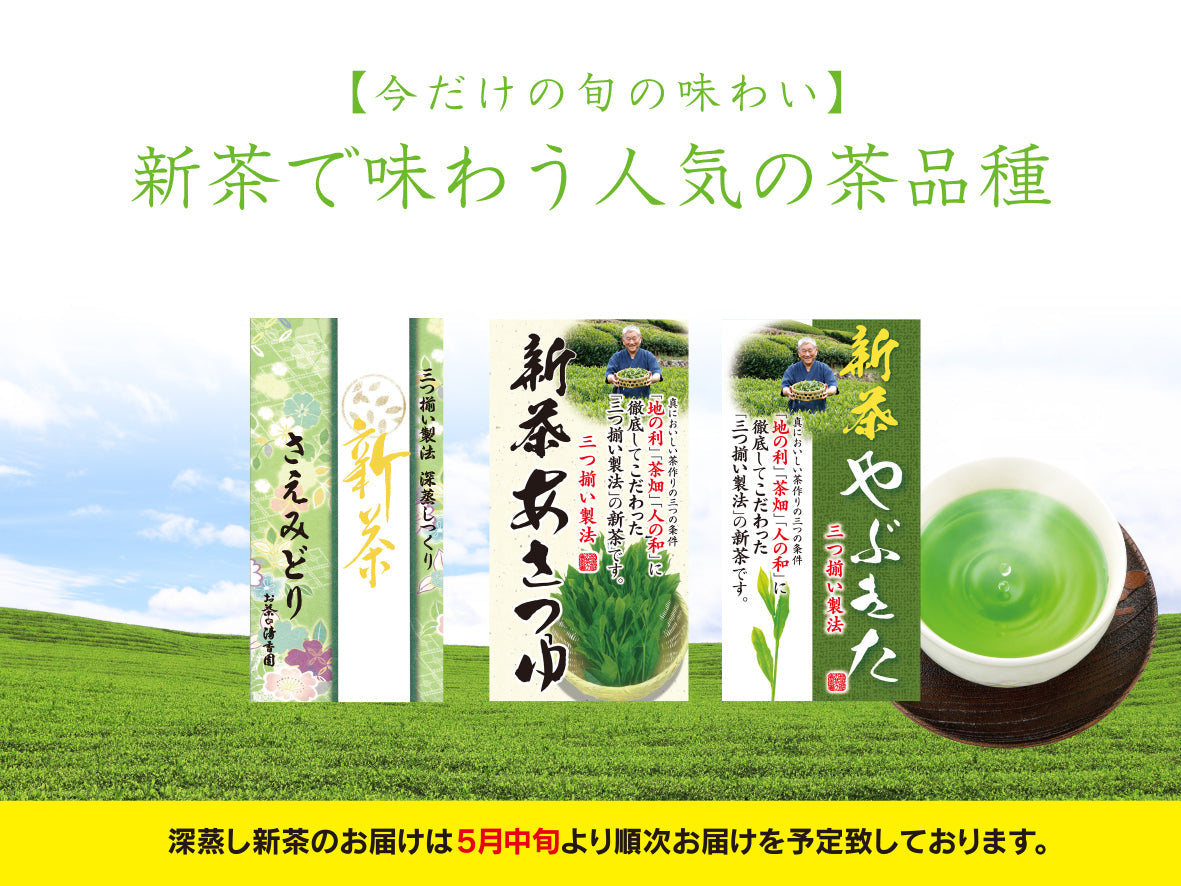 【今だけの旬の味わい】新茶で味わう人気の品種