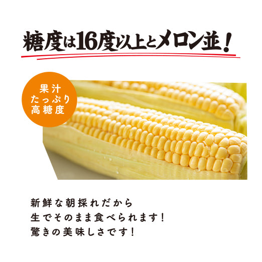 
                  
                    あま～い朝採れとうもろこし ドルチェドリーム （8本入）【産直品】【ご予約受付中】【送料込み】
                  
                