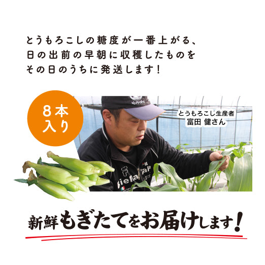 
                  
                    あま～い朝採れとうもろこし ドルチェドリーム （8本入）【産直品】【ご予約受付中】【送料込み】
                  
                