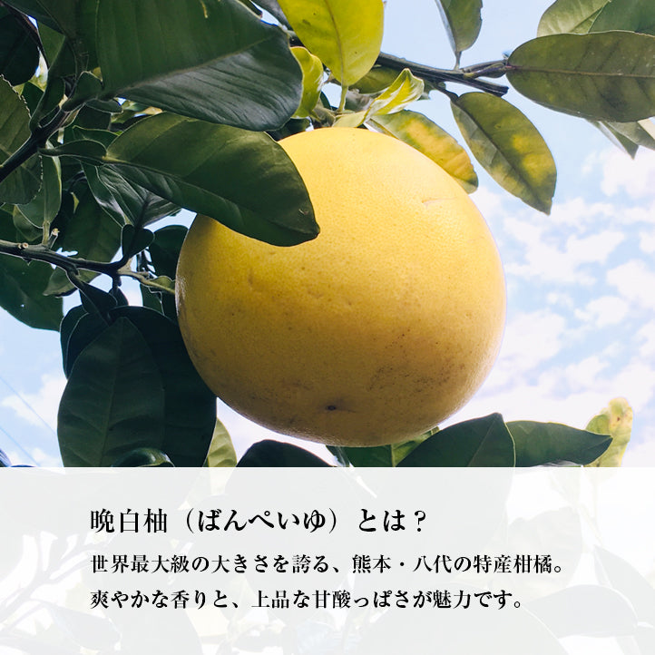 
                  
                    晩白柚（ばんぺいゆ）飴　2袋セット（100g×2袋）
                  
                