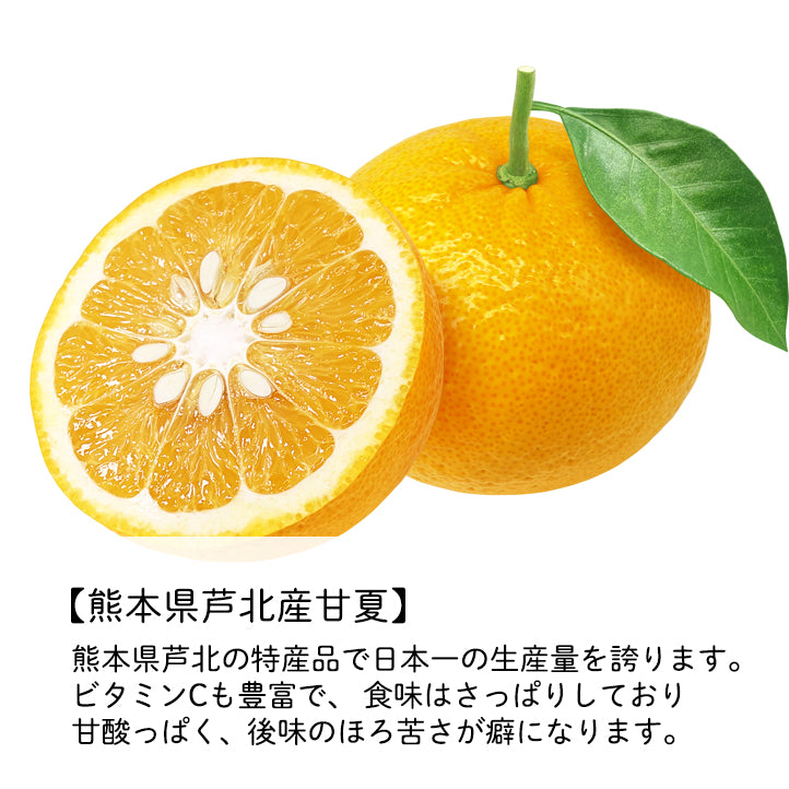 
                  
                    芦北甘夏果汁入り 岬のしお飴　2袋セット
                  
                