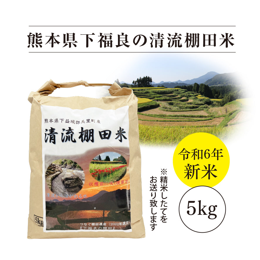 新米 清流棚田米（5kg） – お茶の清香園