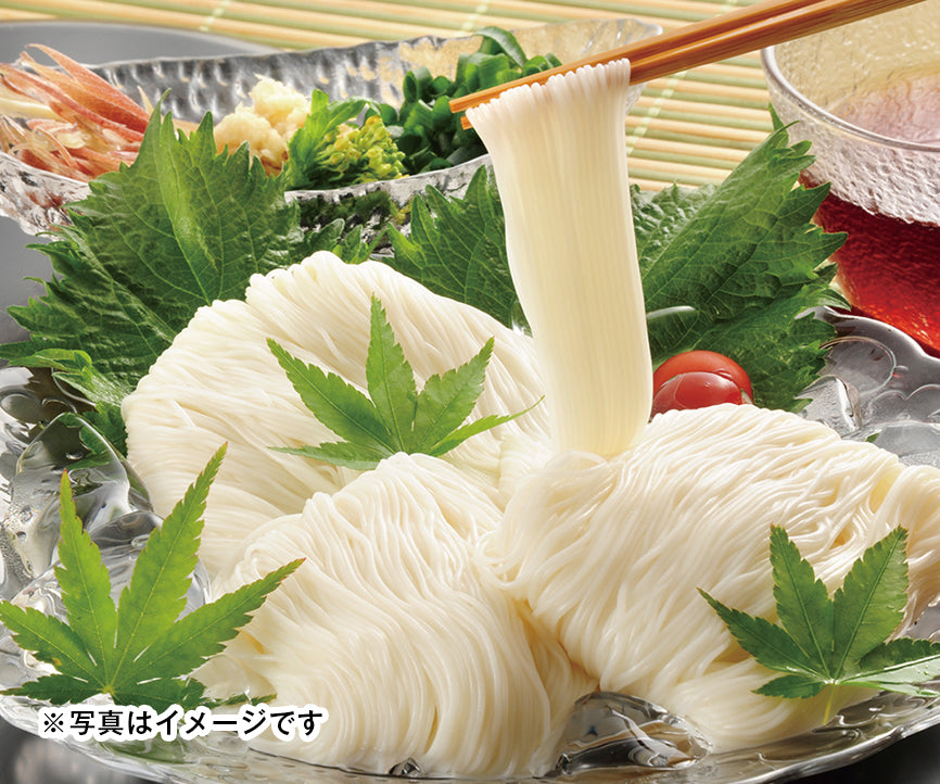 
                  
                    肥後南関そうめん（50g×3束入）2～3人前
                  
                