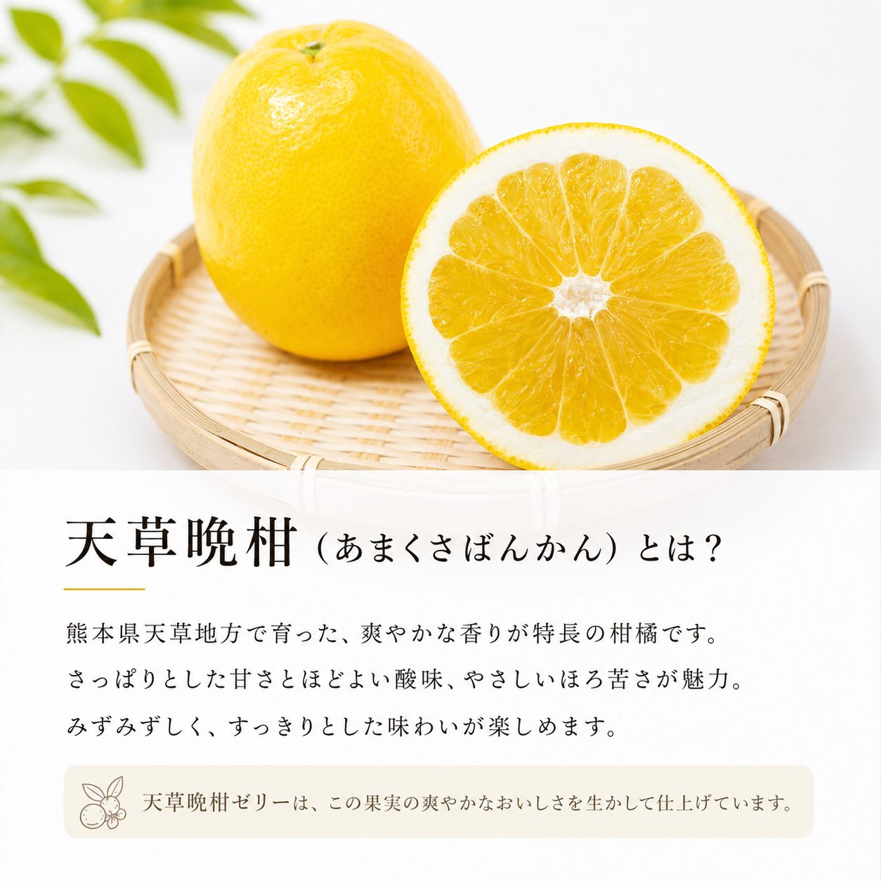 
                  
                    天草晩柑ゼリー（2個入）
                  
                