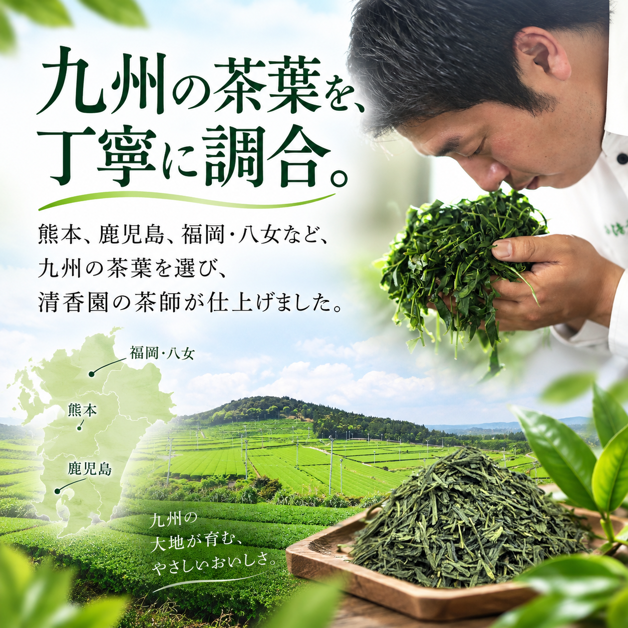 
                  
                    芳醇煎茶 豊翠（ほうすい） （茶葉タイプ）100g　【3本以上で割引価格】
                  
                