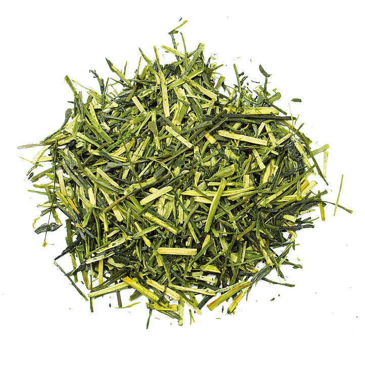 
                  
                    新茶 特上　白折れ　茶葉タイプ(100g入)（準備でき次第出荷)
                  
                