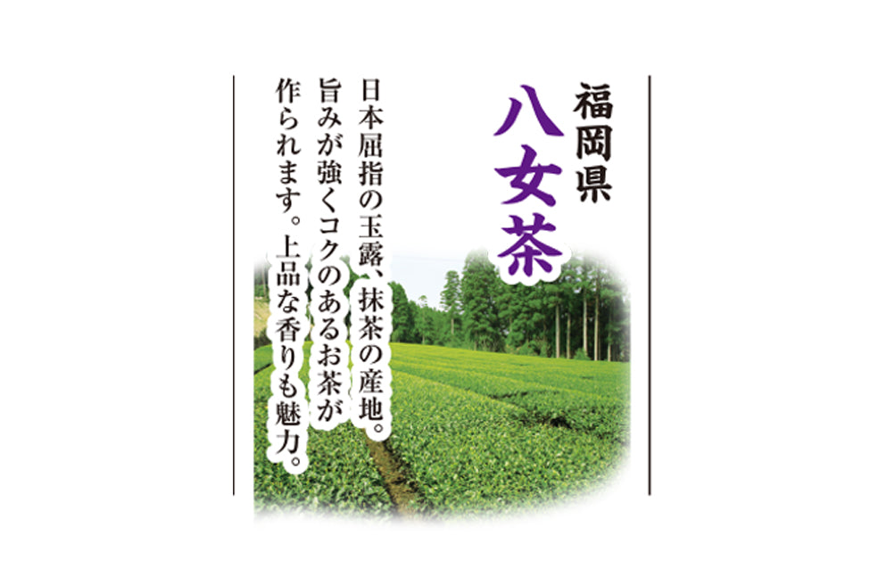 
                  
                    九州三大銘茶  八女茶【単品】（80g入）
                  
                