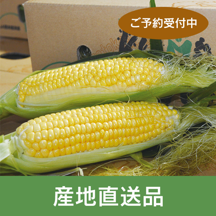 あま～い朝採れとうもろこし ドルチェドリーム （8本入）【産直品】【ご予約受付中】【送料込み】